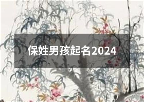 保姓男孩起名2024