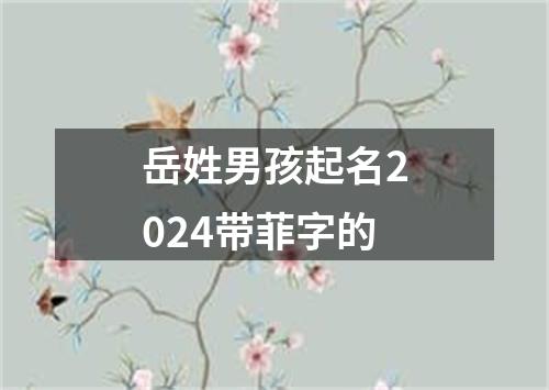 岳姓男孩起名2024带菲字的