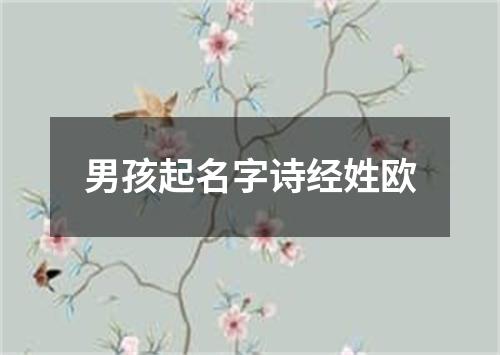 男孩起名字诗经姓欧