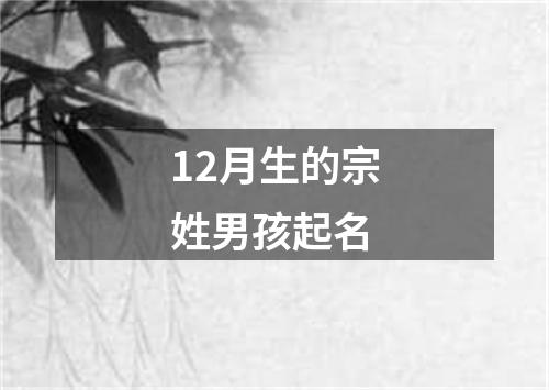 12月生的宗姓男孩起名