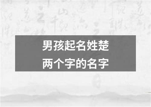 男孩起名姓楚两个字的名字