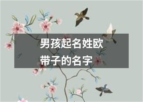 男孩起名姓欧带子的名字