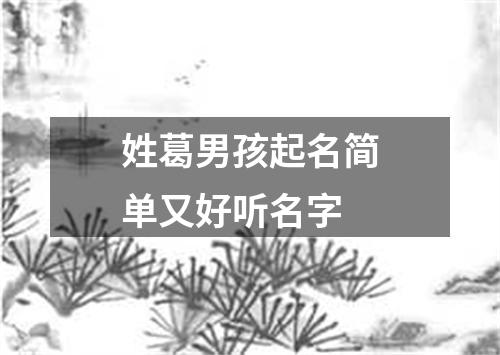 姓葛男孩起名简单又好听名字