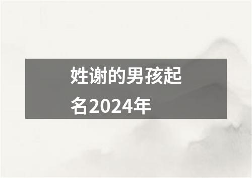 姓谢的男孩起名2024年