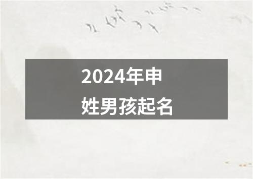 2024年申姓男孩起名