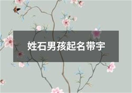 姓石男孩起名带宇