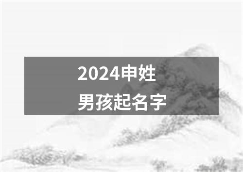 2024申姓男孩起名字