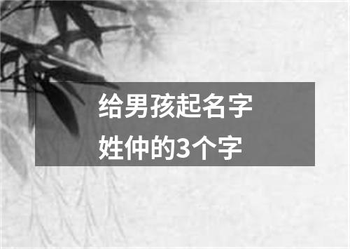 给男孩起名字姓仲的3个字