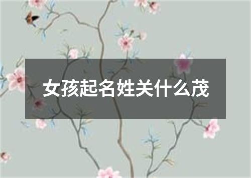 女孩起名姓关什么茂