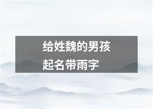 给姓魏的男孩起名带雨字