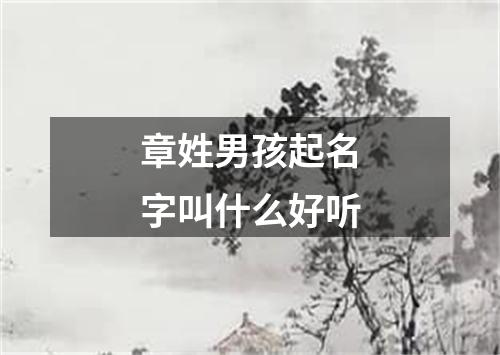 章姓男孩起名字叫什么好听