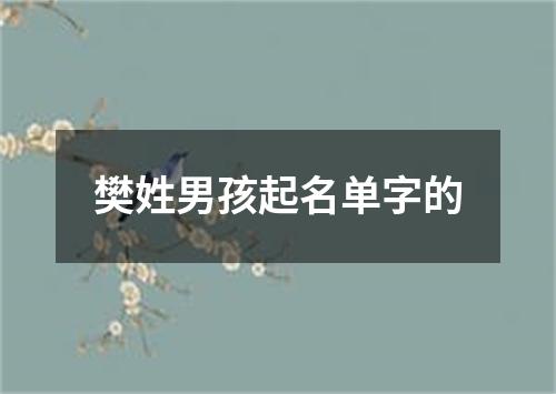 樊姓男孩起名单字的