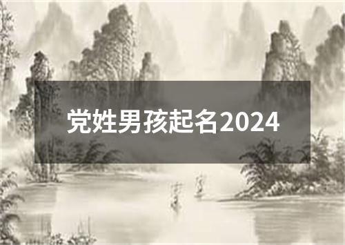 党姓男孩起名2024