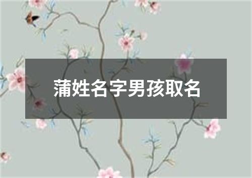 蒲姓名字男孩取名