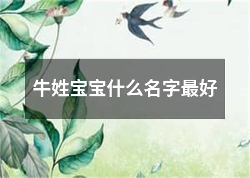 牛姓宝宝什么名字最好