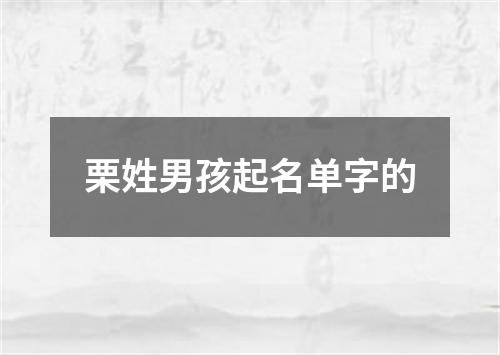 栗姓男孩起名单字的