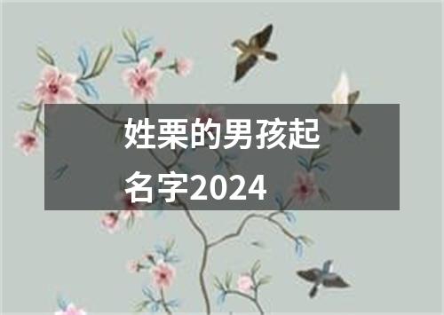 姓栗的男孩起名字2024