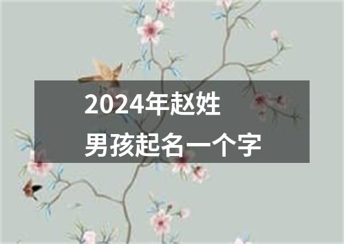 2024年赵姓男孩起名一个字