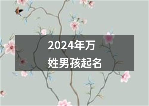 2024年万姓男孩起名