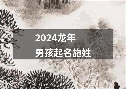 2024龙年男孩起名施姓