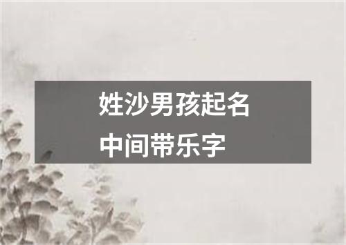 姓沙男孩起名中间带乐字