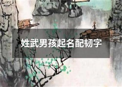 姓武男孩起名配韧字