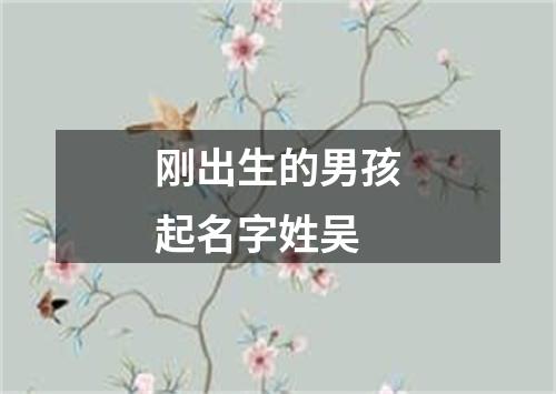 刚出生的男孩起名字姓吴