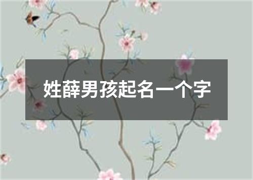 姓薛男孩起名一个字