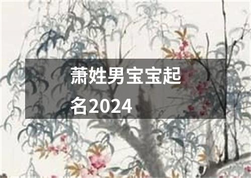 萧姓男宝宝起名2024