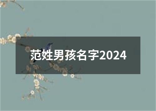 范姓男孩名字2024