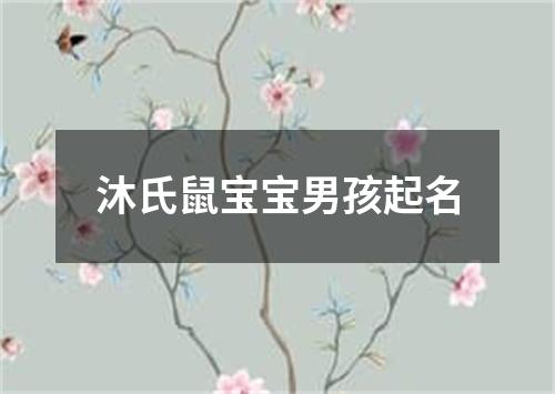 沐氏鼠宝宝男孩起名