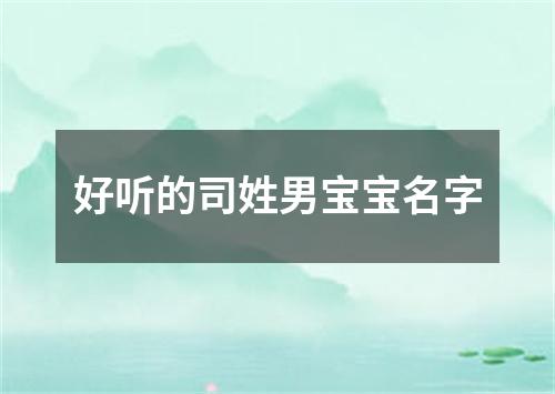 好听的司姓男宝宝名字