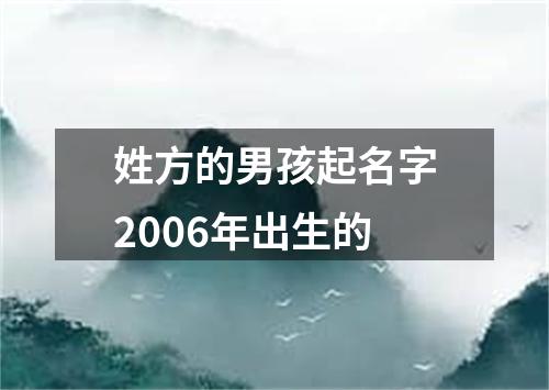 姓方的男孩起名字2006年出生的