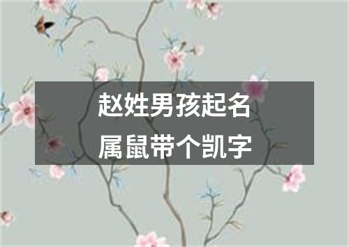 赵姓男孩起名属鼠带个凯字