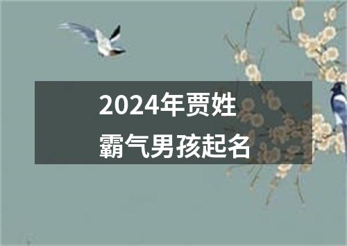 2024年贾姓霸气男孩起名