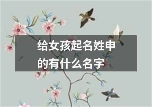 给女孩起名姓申的有什么名字