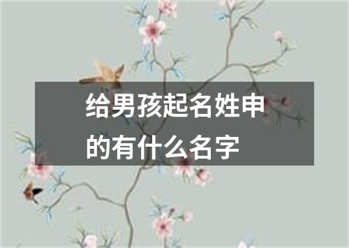 给男孩起名姓申的有什么名字