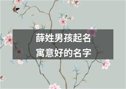 薛姓男孩起名寓意好的名字