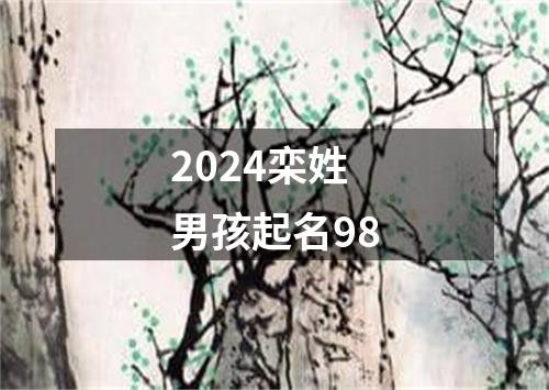 2024栾姓男孩起名98