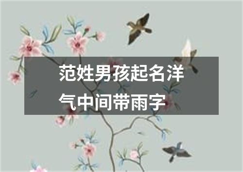 范姓男孩起名洋气中间带雨字