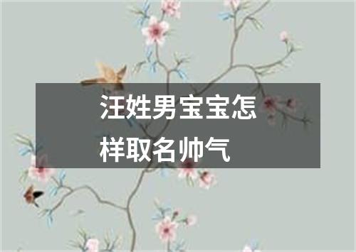 汪姓男宝宝怎样取名帅气