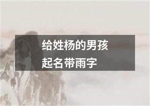 给姓杨的男孩起名带雨字