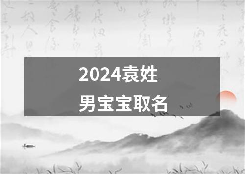 2024袁姓男宝宝取名