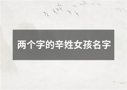 两个字的辛姓女孩名字