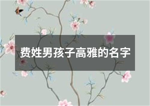 费姓男孩子高雅的名字