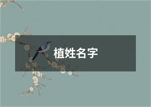 植姓名字