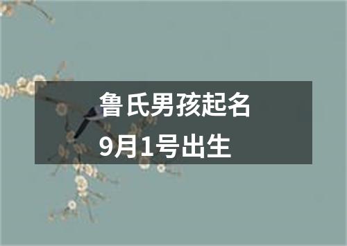 鲁氏男孩起名9月1号出生