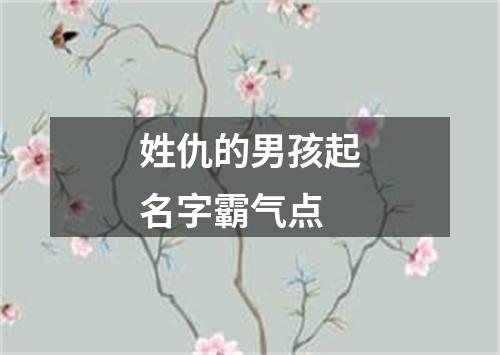 姓仇的男孩起名字霸气点