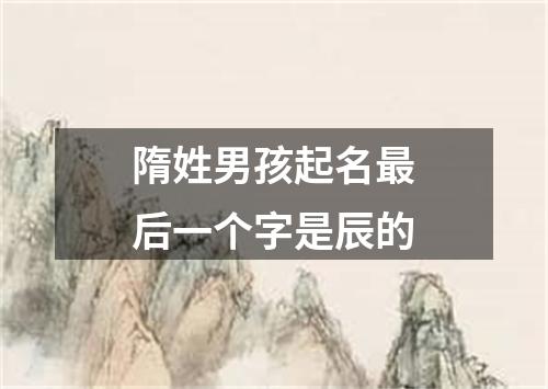 隋姓男孩起名最后一个字是辰的