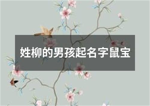 姓柳的男孩起名字鼠宝